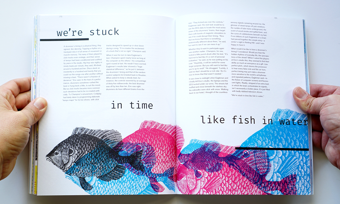 fish_spread